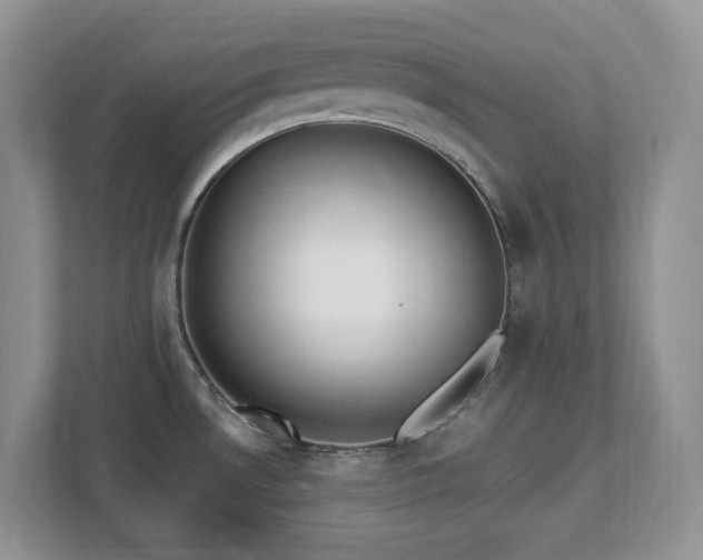 X0000112741530200908201336