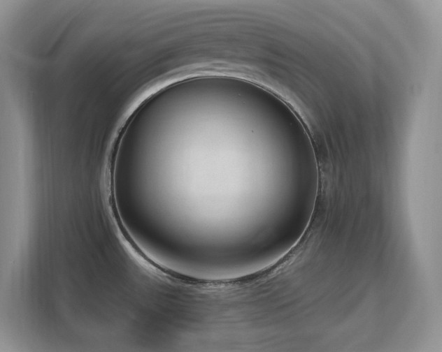 X0000112741531200908201336