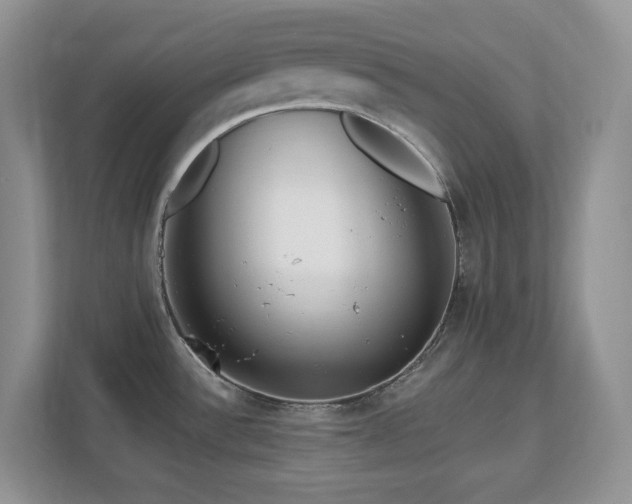 X0000112741532200908201336