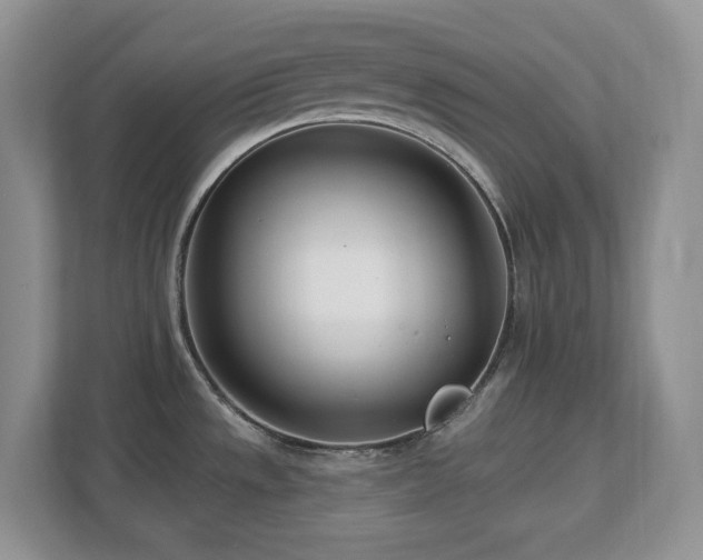 X0000112741533200908201336