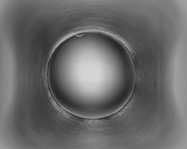 X0000112741534200908201336