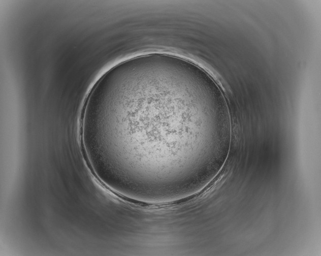 X0000112741535200908201336