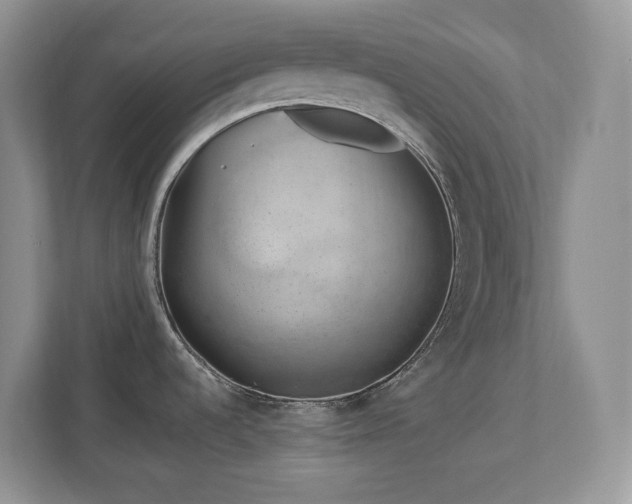 X0000112741536200908201336