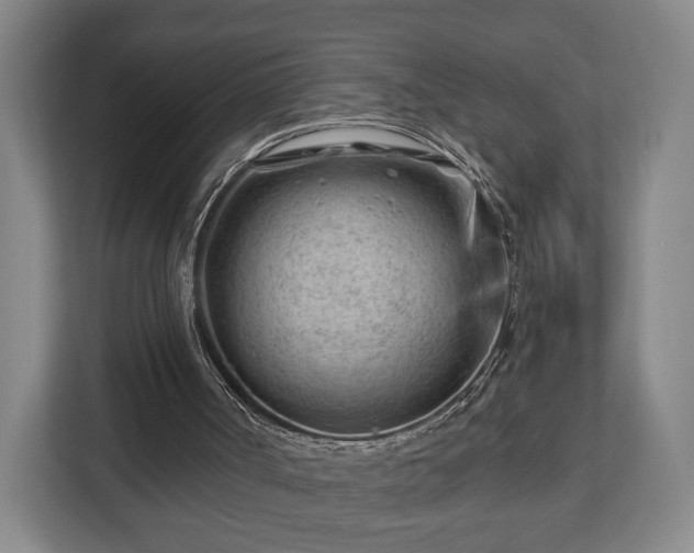 X0000112740002200908271531