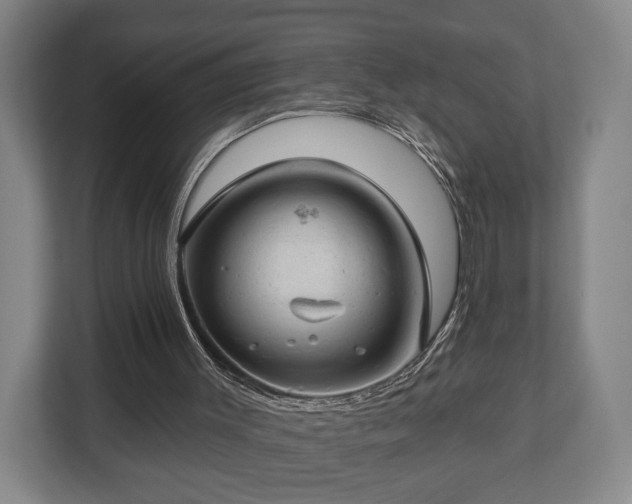 X0000112740003200908271531