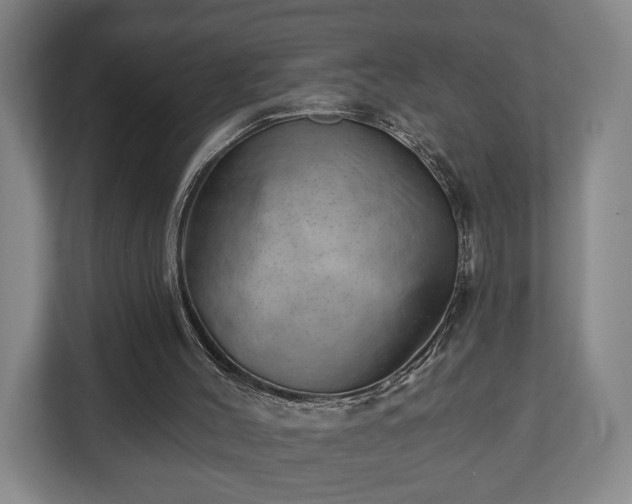 X0000112740004200908271531