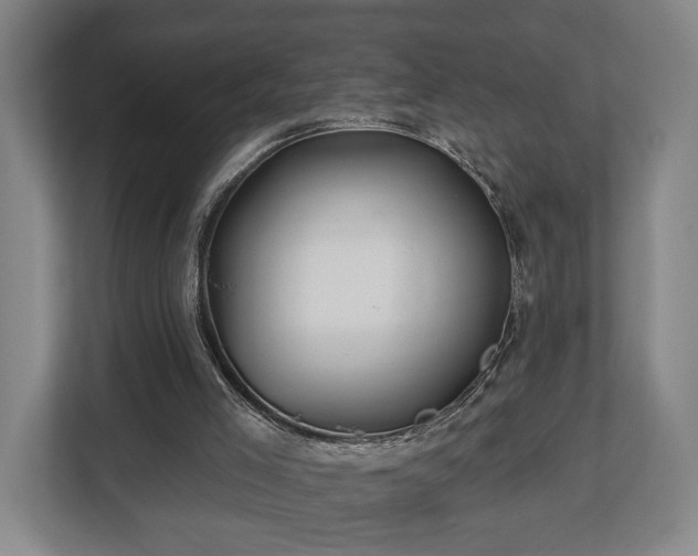 X0000112740005200908271531