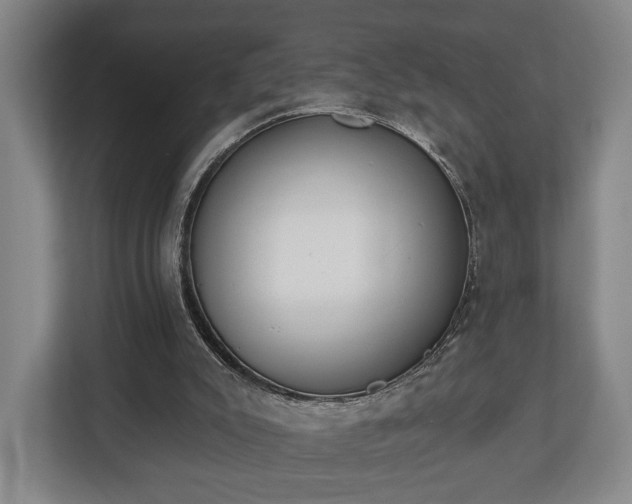 X0000112740007200908271531