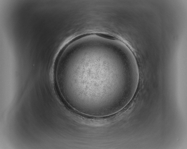 X0000112740008200908271531