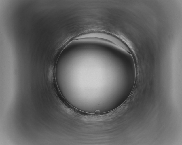 X0000112740009200908271531