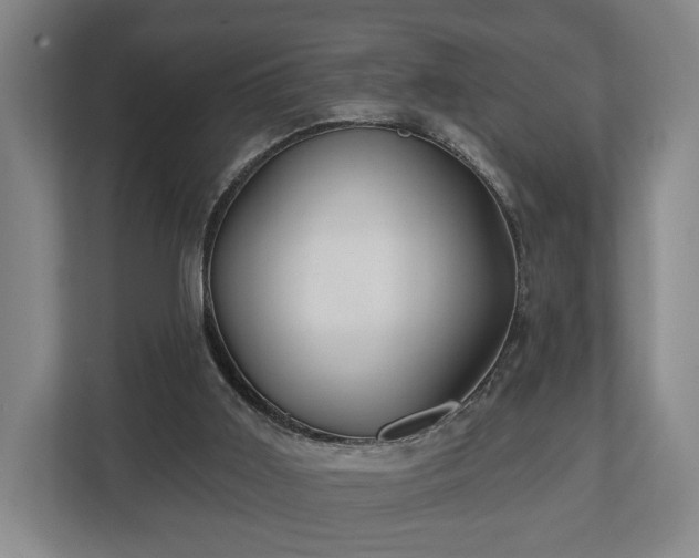 X0000112740011200908271531