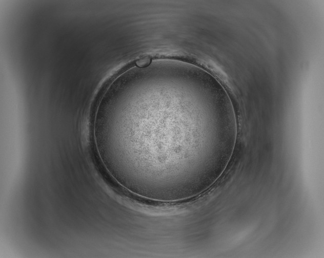 X0000112740012200908271531