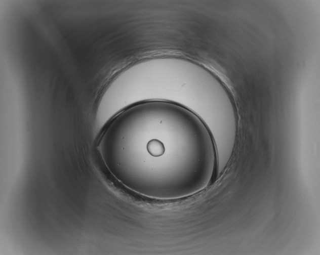 X0000112740013200908271531