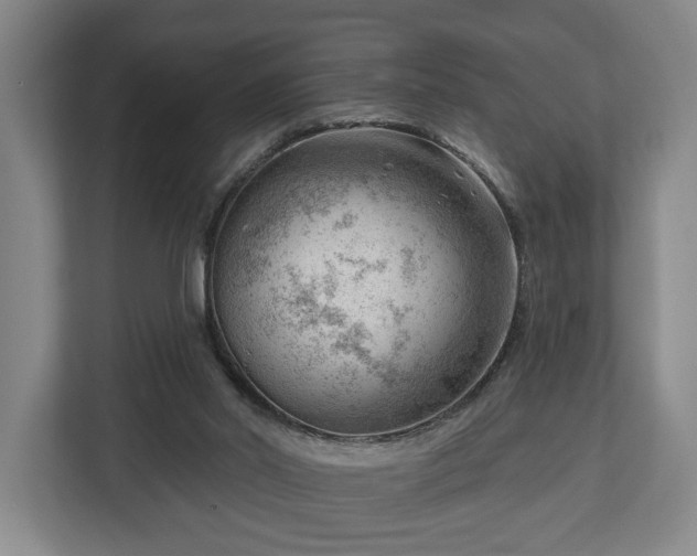 X0000112740014200908271531