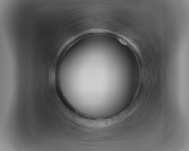 X0000112740015200908271531