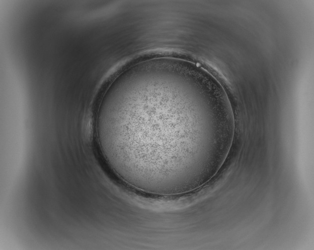 X0000112740016200908271531