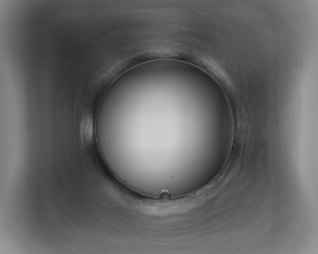 X0000112740021200908271531