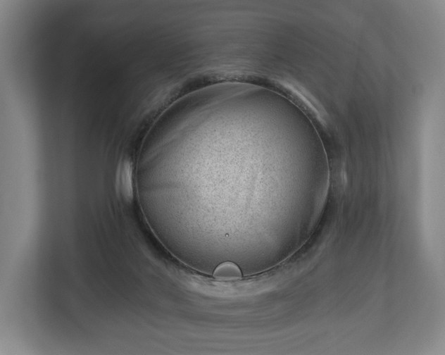 X0000112740022200908271530