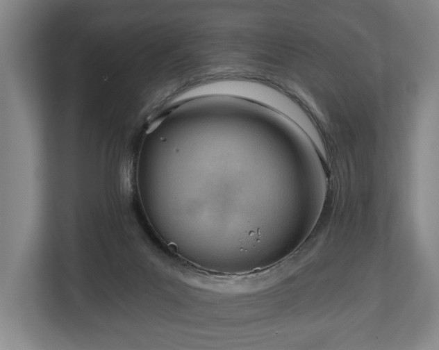 X0000112740023200908271530