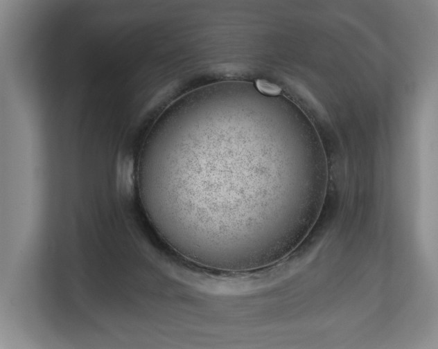 X0000112740024200908271530