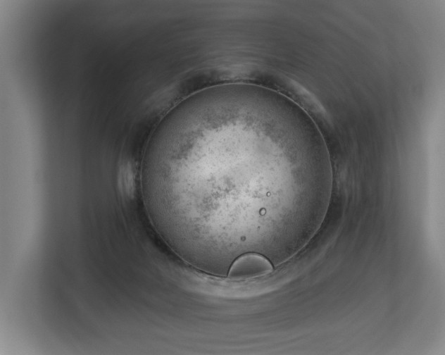 X0000112740026200908271530