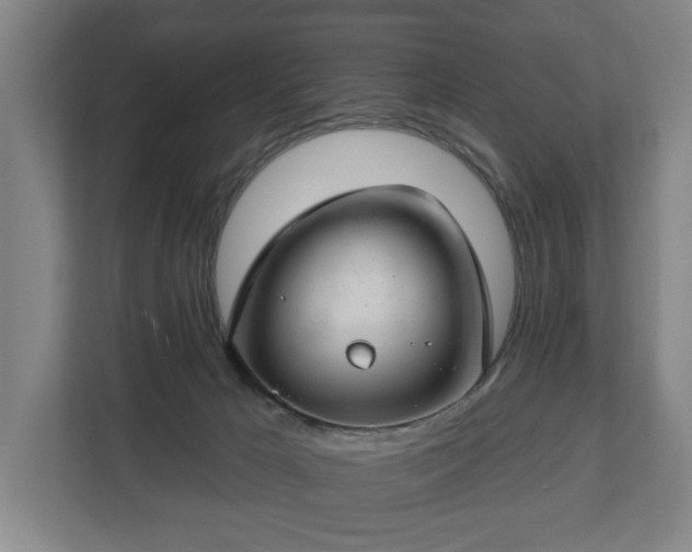 X0000112740029200908271530