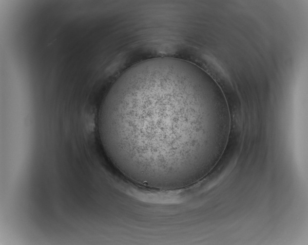 X0000112740032200908271530