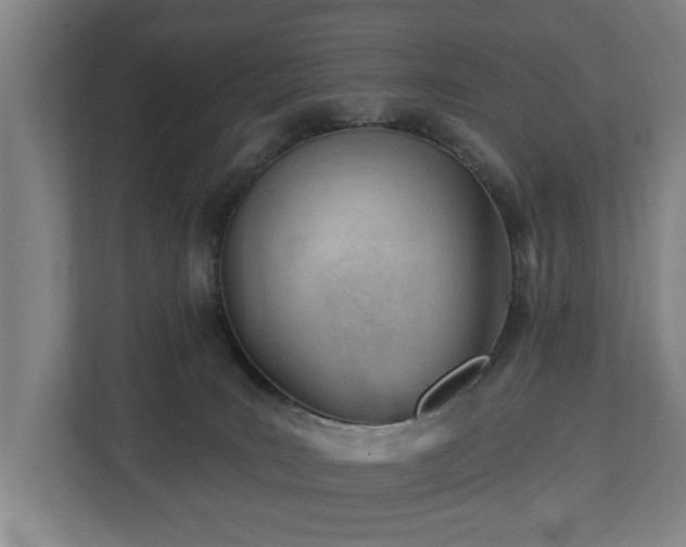 X0000112740035200908271530