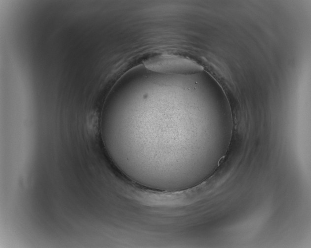 X0000112740036200908271530