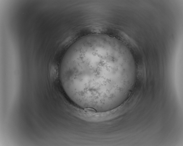 X0000112740043200908271530