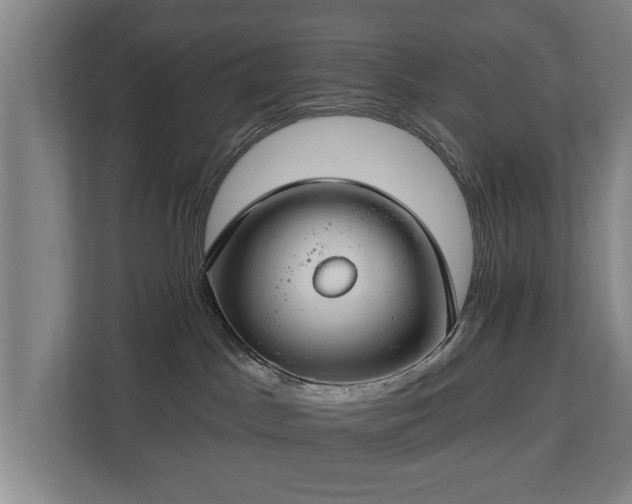 X0000112740045200908271530