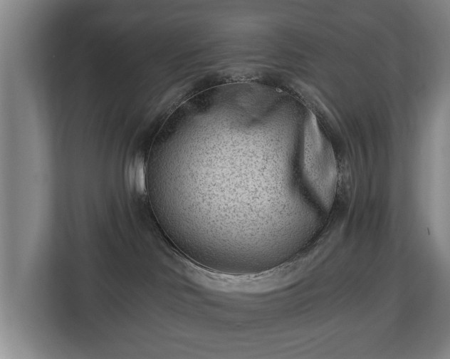 X0000112740046200908271530