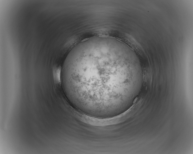 X0000112740047200908271530