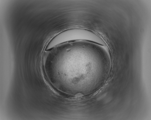 X0000112740049200908271530