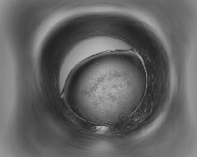 X0000112740050200908271530