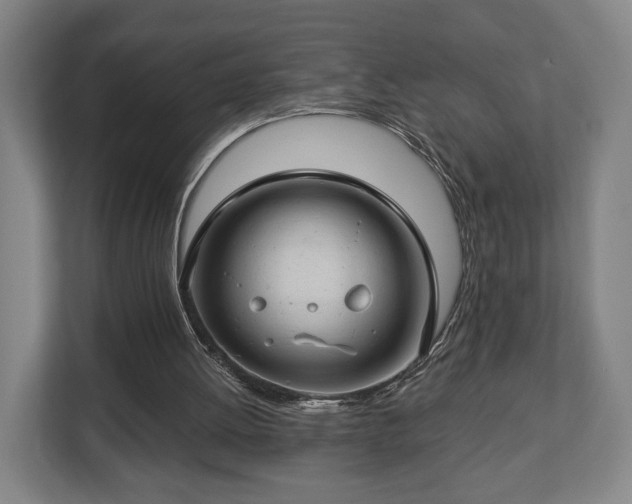 X0000112740052200908271530