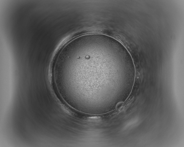 X0000112740053200908271530