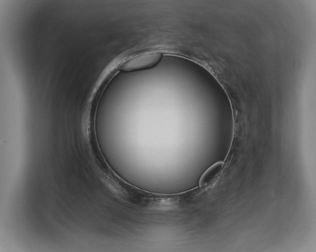 X0000112740056200908271530