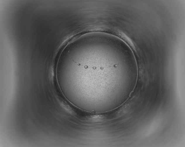 X0000112740059200908271530