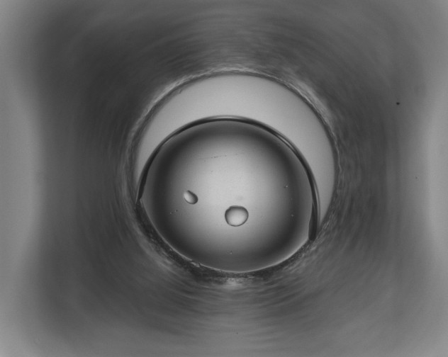 X0000112740060200908271530