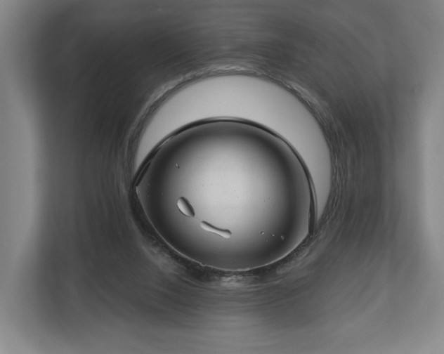 X0000112740064200908271530