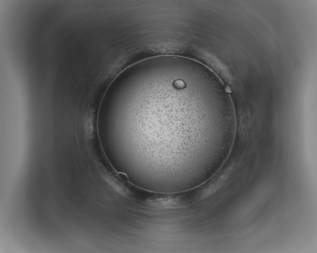 X0000112740065200908271530