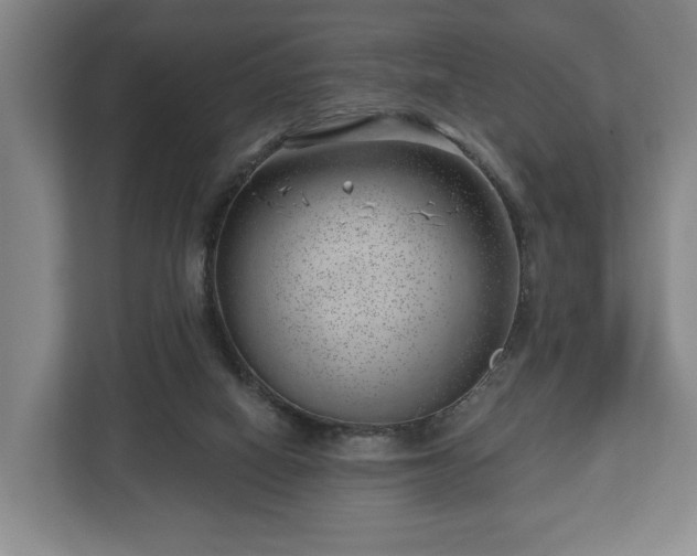 X0000112740066200908271530