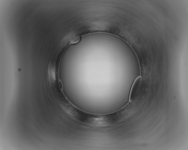 X0000112740068200908271530