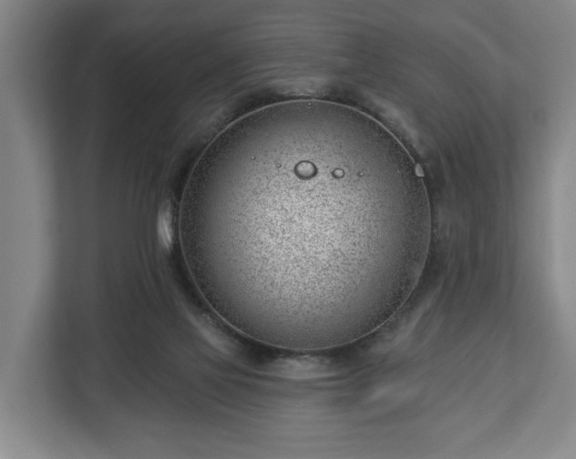 X0000112740069200908271530