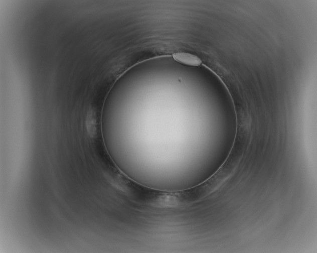 X0000112740080200908271530