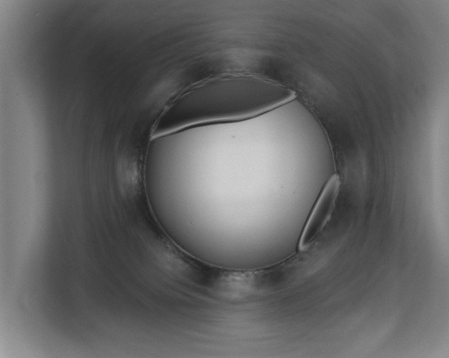 X0000112740084200908271530