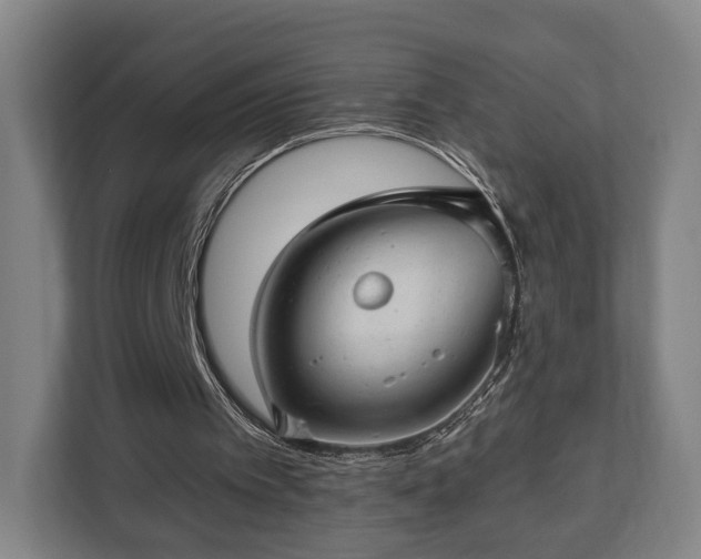 X0000112740097200908271530