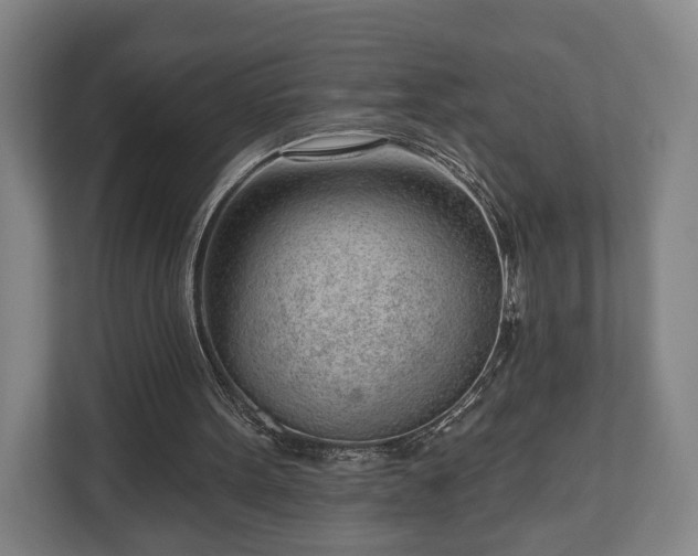 X0000112740099200908271529