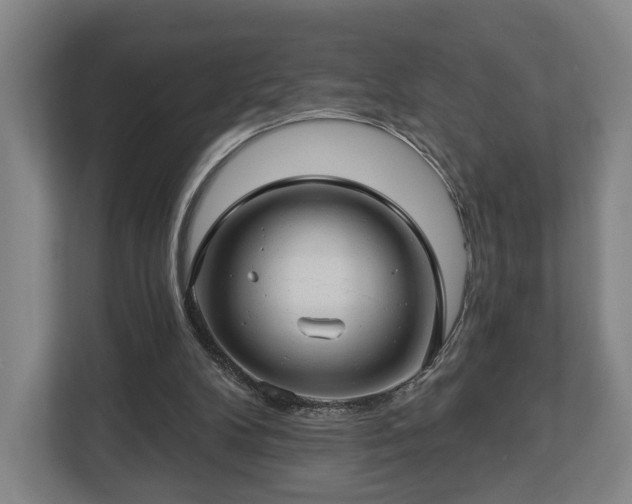 X0000112740104200908271529